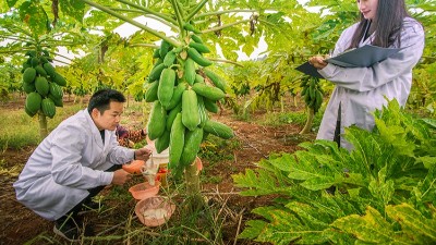 酶制劑公司排名：哪個(gè)廠家在食品、飼料、工業(yè)領(lǐng)域拔得頭籌