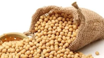 大豆豆粕酶解技術在飼料行業(yè)的應用