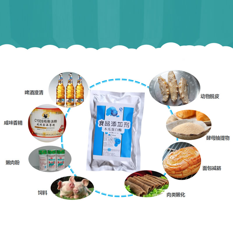 木瓜蛋白酶在食品加工行業(yè)的應用
