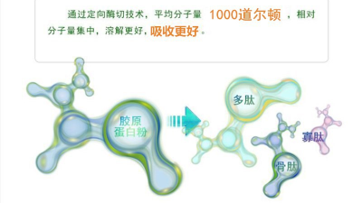 木瓜蛋白酶及堿性蛋白酶，哪一款適合骨膠原蛋白肽的生產