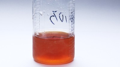 堿性蛋白酶在洗衣液中的作用