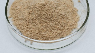 堿性蛋白酶的作用和用途