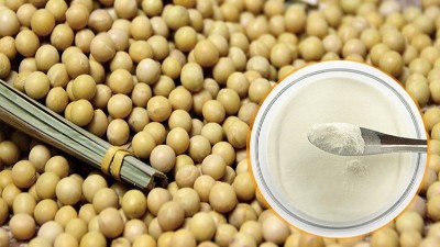 酶解法制備大豆蛋白肽具有什么優(yōu)勢？