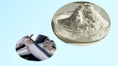 鱈魚皮水解膠原蛋白肽，離不開酶制劑的應(yīng)用！