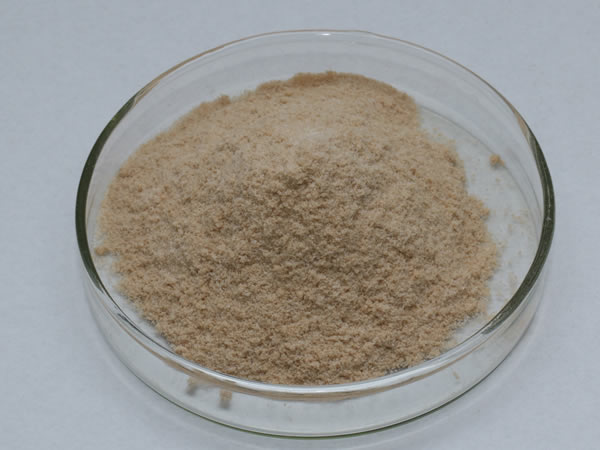 膜清洗酶（膜清洗劑，洗滌酶）