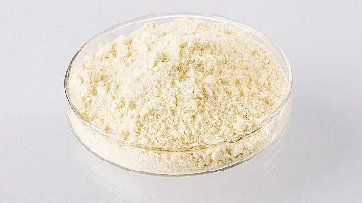 東恒華道酶制劑，助力健康產(chǎn)業(yè)發(fā)展