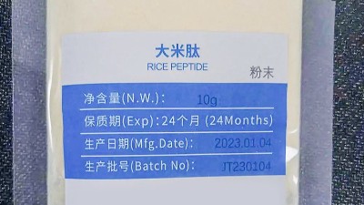 復(fù)配蛋白酶賦能大米蛋白肽——從工藝突破到功能升級