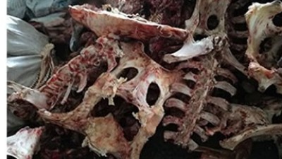 牛骨、豬骨蛋白胨生產(chǎn)，適合的酶制劑有哪些呢？